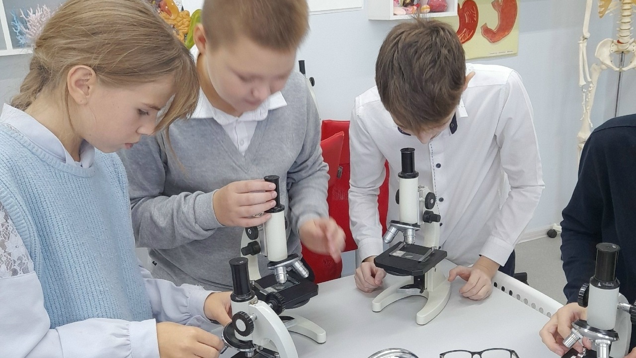 Микробиолог  - кто это?