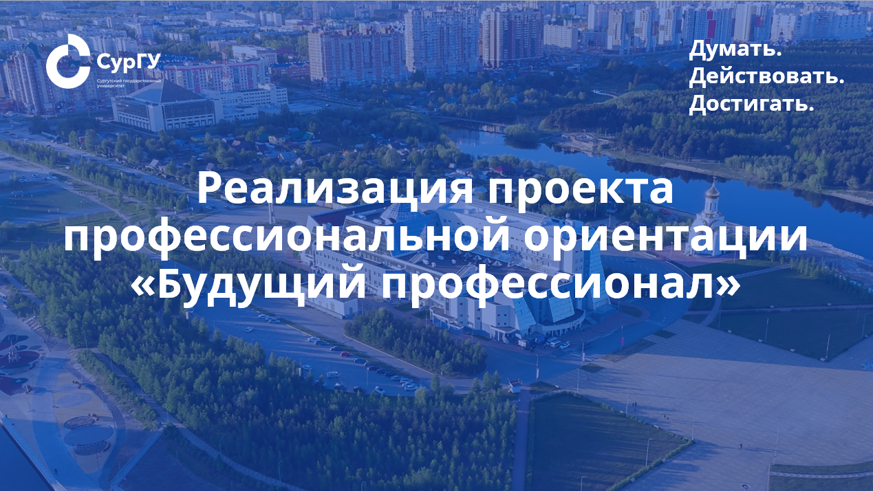 Профориентационный проект «Будущий профессионал»